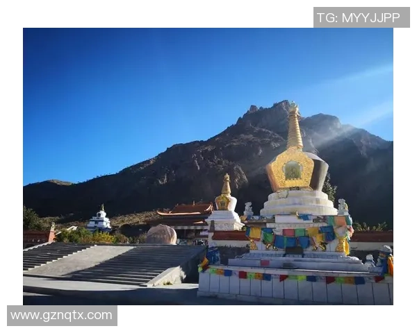 全国街舞大赛特别报道：上海极限运动队拼搏历程与梦想追逐的真实故事